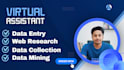 provide professional data entry and data management services