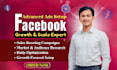 handle your facebook ads campaign audit and optimization