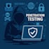 conduct penetration testing and vulnerability assessments