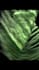 do stunning 3d cloth simulation cloth simulation 3d cloth animation cloth render