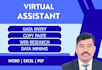 do data entry, document conversion, web research and copy paste