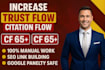 increase your majestic  tf and citation flow cf 65 plus