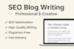 write SEO optimized blog post