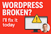 fix wordpress and elementor issues fast