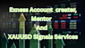 create exness account and mt4 mt5