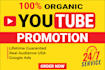 complete youtube channel monetization promotion