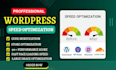 do wordpress speed optimization for google page speed increase page speed to 90