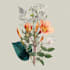 do realistic botanical illustration