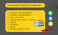 do linear programming,operation research,industrial engineering project