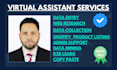 be your virtual assistant for data entry and admin support