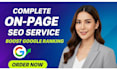 provide advanced on page SEO and technical search engine optimization