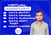 data entry, clean, format, merge, split ,excel data