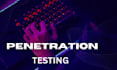 pentest your website or application for vulnerabilities