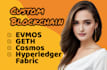 custom blockchain with evmos, geth, cosmos, hyperledger fabric, zksync, cardano