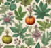 make botanical product illustration