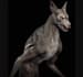 be 3d werewolf modeler, rigger and animator optimize for unity, ue5, fix polygon