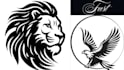 be an expert with the photoshop illustrator pen tool