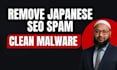 clean malware,remove japanese SEO spam,fix hacked website