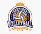 do a professional modern volleyball logo