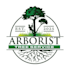 make creative professional super tree logo design