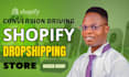 setup and promote high converting shopify dropshipping store
