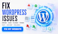 fix your wordpress issues