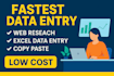 do fastest data entry in one day, web research, copy paste