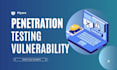 penetration testing web vulnerability and cyber security