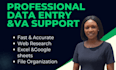 be your virtual assistant for data entry, research and admin tasks
