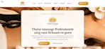 create a professional custom made wordpress website