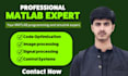 do your matlab programming, simulink, control system and gui projects