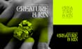 create expert modern logo design