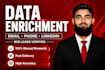 company data enrichment and data entry email collection