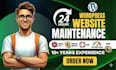 fix wordpress critical error, malware removal, help, and core web vitals repair