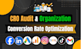 provide conversion rate optimisation service with cro audit and optimization