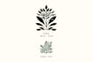 design a unique botanical boho logo