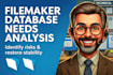 analyze filemaker solutions to identify risks and improvement opportunities