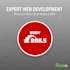 build or debug your ruby on rails web application