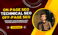 do technical and on page SEO for shopify and wordpress