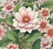 create your ideal botanical illustration