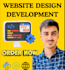 do website development for business and organization
