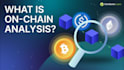 be your crypto whale onchain analyst