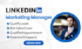 be your linkedin marketing manager, b2b b2c appointment setter