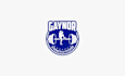 design perfect powerful gym training logo