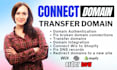 setup domain connect  transfer domain to your website