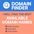 domain finder  domain name consultant