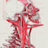 draw exercise, medical and anatomy illustrations