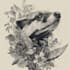 draw high quality animal, insect, and botanical art