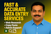 be your virtual assistant for data entry and web research