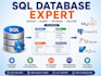 do sql queries, sql database projects, erd, use cases